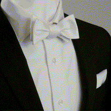 Load image into Gallery viewer, White Silk Self Bow Tie