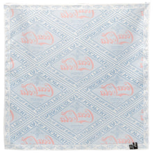 Load image into Gallery viewer, Coca-Cola Satin Scarf
