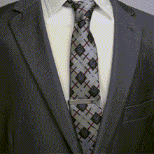 Load image into Gallery viewer, Marvel Spider-Man Spider Tie Bar
