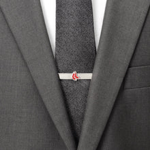 Load image into Gallery viewer, MLB Boston Red Sox Tie Bar
