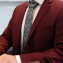 Load image into Gallery viewer, Star Wars Darth Vader Gray Paisley Tie
