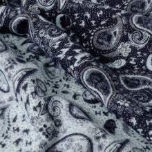 Load image into Gallery viewer, Star Wars Darth Vader Blue and Gray Paisley Scarf
